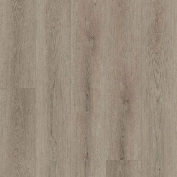 Picture of Shaw Builder - Polaris Plus Toasted Taupe