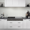 Picture of Emser Tile - Estasi Peak White Matte discod