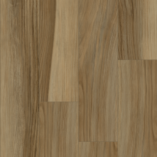 Picture of Palmetto Road - Emerald Isle Cape