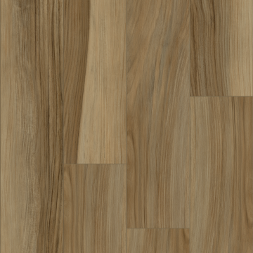 Picture of Palmetto Road - Emerald Isle Cape