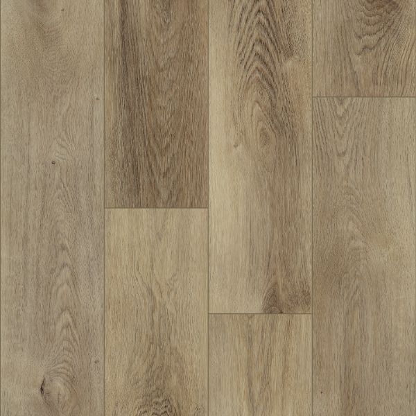 Picture of Palmetto Road - Emerald Isle Marina