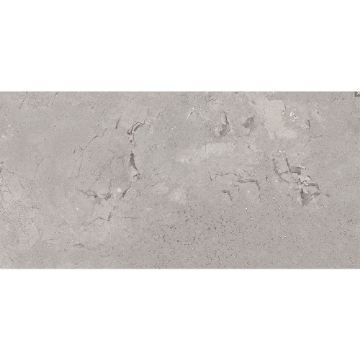 Picture of Emser Tile - Newport 12 x 24 Lappatto Ferry