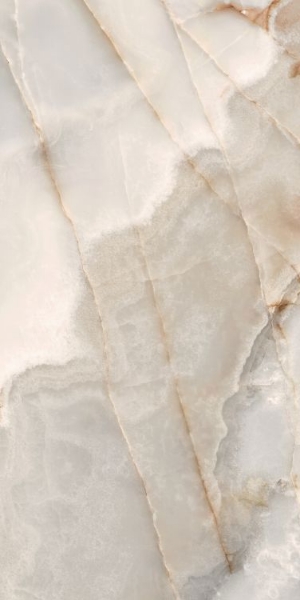 Picture of Elysium - Reves 24 x 48 Matte Noisette