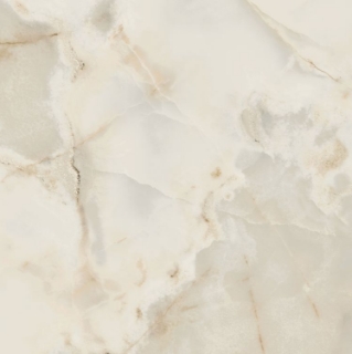 Picture of Elysium - Reves 24 x 24 Glossy Perle