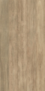 Picture of Elysium - Selection Oak 8 x 48 Cream