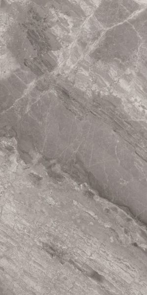 Picture of Elysium - Supreme 24 x 48 Grey Naturale