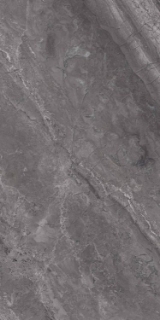 Picture of Elysium - Supreme 12 x 24 Charcoal Naturale