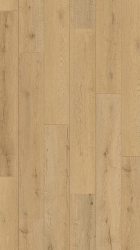 Picture of Vortis Floors - Aspen Basalt