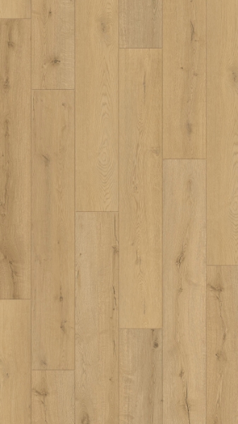 Picture of Vortis Floors - Aspen Basalt