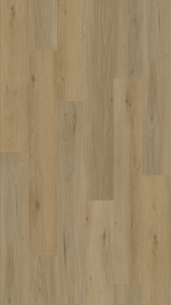 Picture of Vortis Floors - Aspen Robson