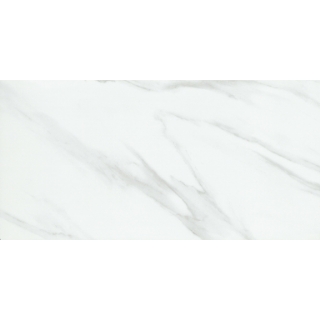 Picture of Emser Tile - Nobleza 24 x 47 Astorga Matte