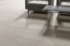 Picture of Emser Tile - Porto II 12 x 24 Polished Fawn