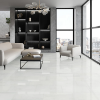 Picture of Emser Tile - Prodigy 12 x 24 Agnesi Polished