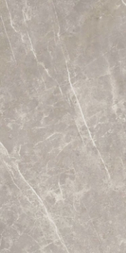 Picture of Elysium - Dolomia 24 x 48 Grey Luc