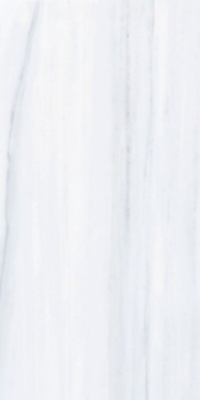 Picture of Elysium - Dolomite Supreme 12 x 24 Dolomite Supreme Matte