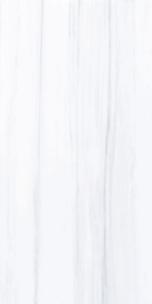 Picture of Elysium - Dolomite Supreme 24 x 48 Dolomite Supreme Matte