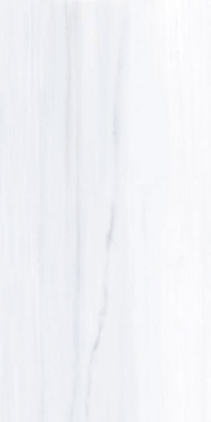 Picture of Elysium - Dolomite Supreme 24 x 48 Dolomite Supreme Polished