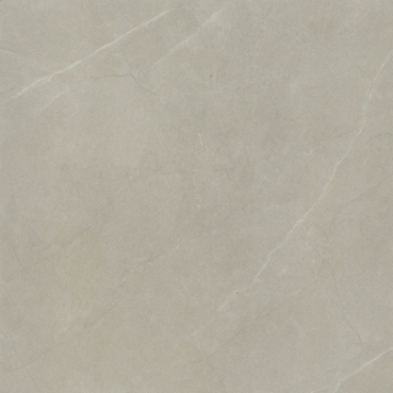 Picture of Emser Tile - Solara 20 x 20 Meriva