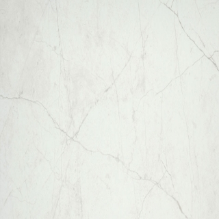 Picture of Emser Tile - Sterlina II 24 x 24 Matte White