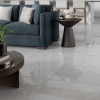 Picture of Emser Tile - Sterlina II 24 x 24 Polished Gray