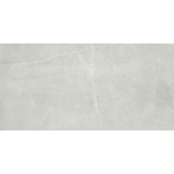Picture of Emser Tile - Sterlina II 24 x 47 Matte Silver