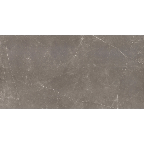 Picture of Emser Tile - Sterlina II 24 x 47 Polished Henna