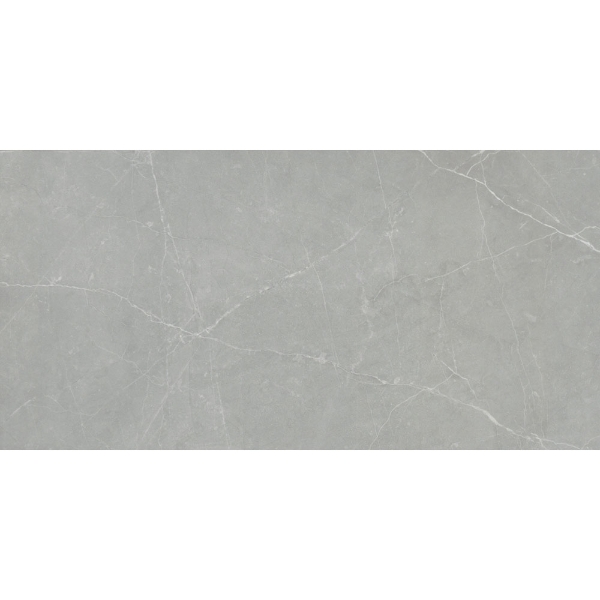 Picture of Emser Tile - Sterlina II 12 x 24 Matte Gray