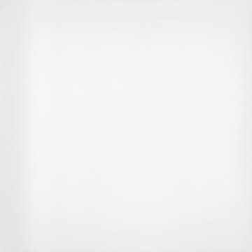 Picture of Emser Tile - Style II 24 x 24 Pure White