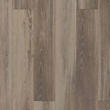 Picture of Shaw Builder - Lazio Plus Delfino