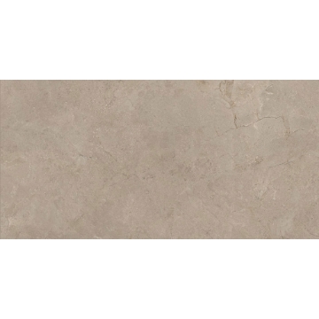 Picture of Emser Tile - Terramor 12 x 24 Fulvo