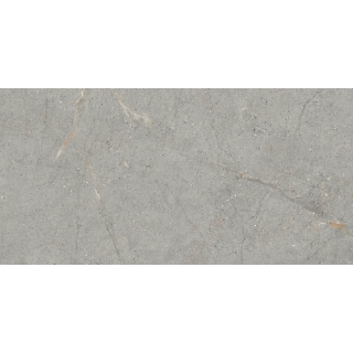 Picture of Emser Tile - Terramor 24 x 47 Grigio