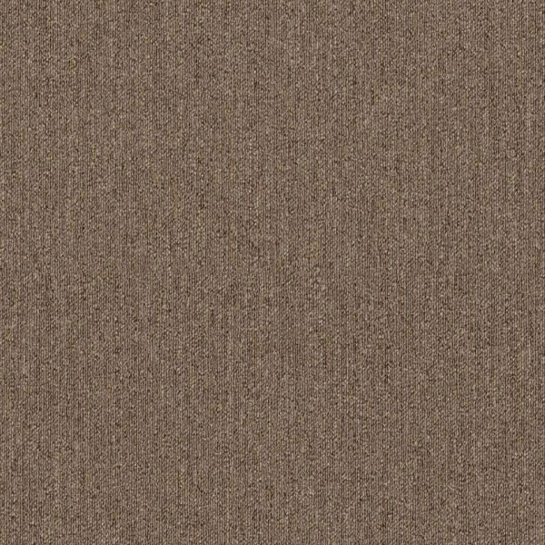 Picture of Philadelphia Commercial by Shaw - Profusion Excess