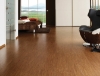 Picture of WE Cork - Avant Garde Collection with Greenshield Canyon