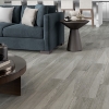 Picture of Emser Tile - Victus Gray