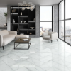 Picture of Emser Tile - Visconde Silver Polished