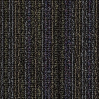 Picture of Philadelphia Commercial by Shaw - Overload CT Magnetize