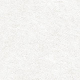 Picture of Emser Tile - Xtra Plus Pavers 23 x 23 Misen White