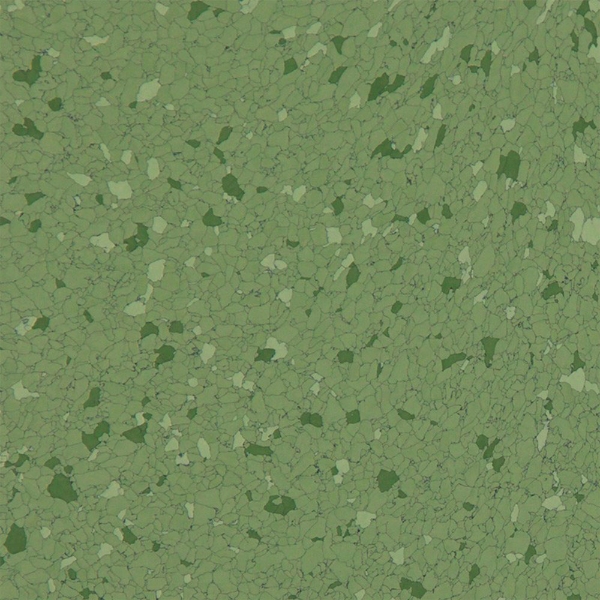 Picture of American Biltrite - Texas Granite 12 x 12 Kershaw Green