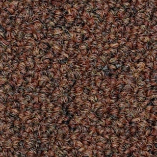 Picture of Philadelphia Commercial by Shaw - SP309 Landslide