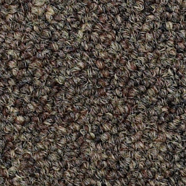 Picture of Philadelphia Commercial by Shaw - SP309 Eminence