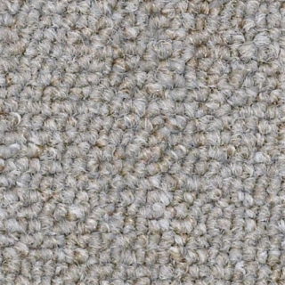 Picture of Philadelphia Commercial by Shaw - SP309 Power Play