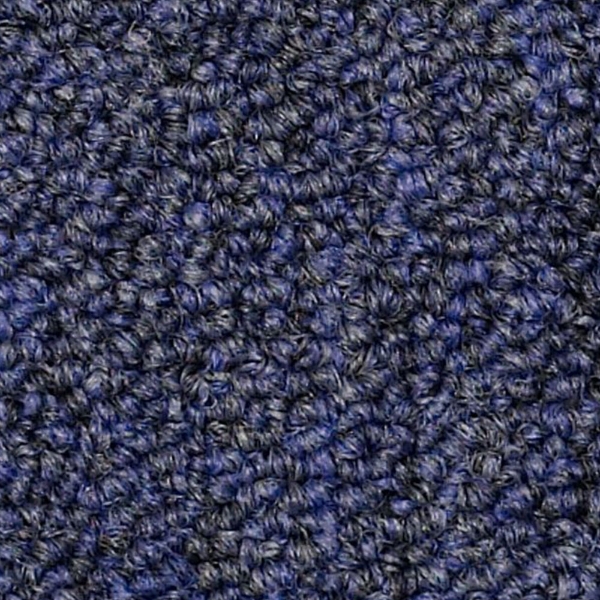 Picture of Philadelphia Commercial by Shaw - SP309 Executor