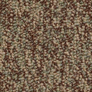 Picture of Philadelphia Commercial by Shaw - SP404 Do The Work