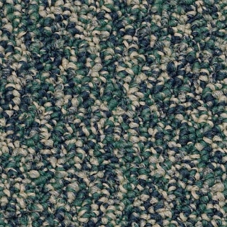 Picture of Philadelphia Commercial by Shaw - SP404 Stay Positive