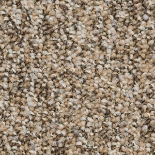 Picture of Philadelphia Commercial by Shaw - SP404 Make It Work