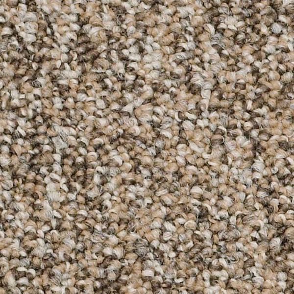 Picture of Philadelphia Commercial by Shaw - SP405 Boundaries