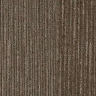 Picture of Philadelphia Commercial by Shaw - Disclose Front Page