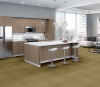 Picture of Philadelphia Commercial by Shaw - Color Accents 24 x 24 Aloe