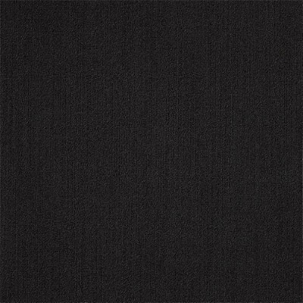 Picture of Philadelphia Commercial by Shaw - Color Accents 24 x 24 Black