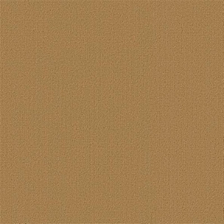 Picture of Philadelphia Commercial by Shaw - Color Accents 24 x 24 Brasserie